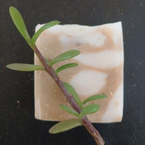 Spekboom soap